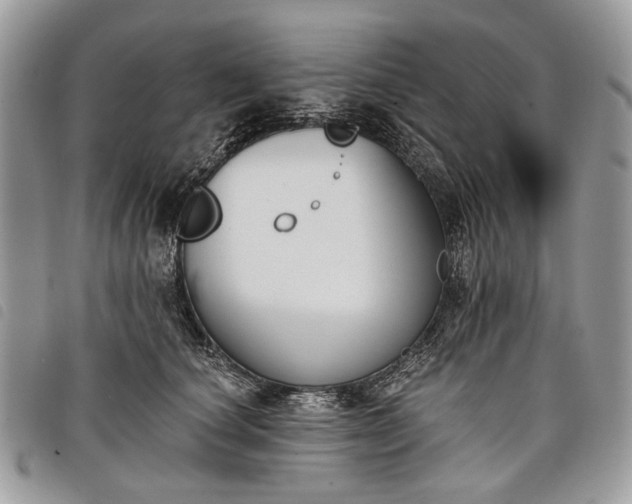 X0000098050660200804071509