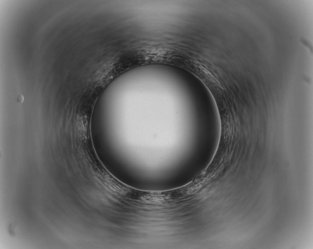 X0000098050661200804071509