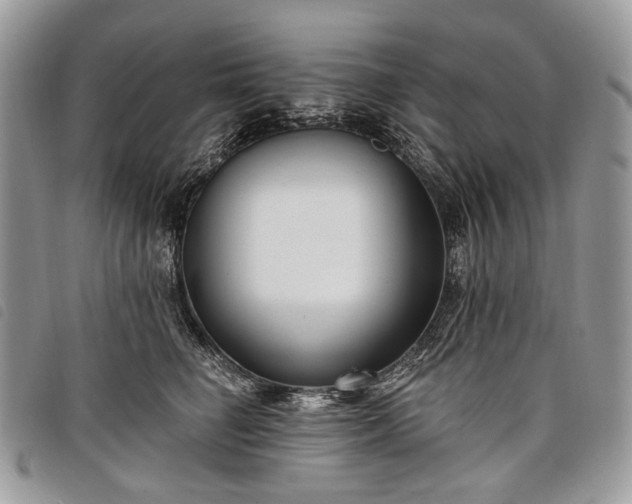 X0000098050662200804071509