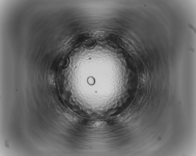 X0000098050663200804071509