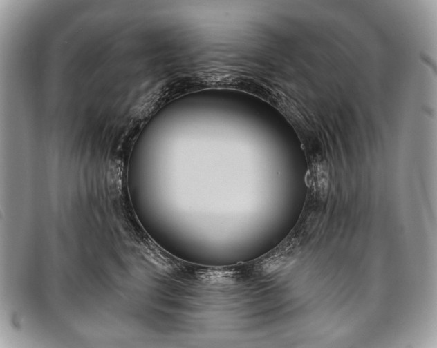 X0000098050664200804071509