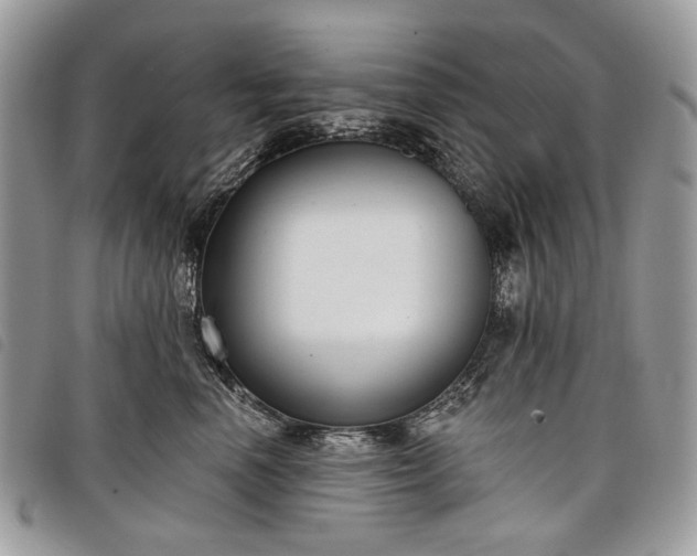 X0000098050666200804071509