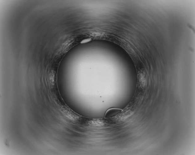 X0000098050668200804071509