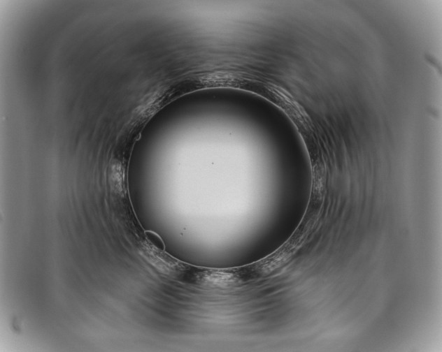 X0000098050669200804071509