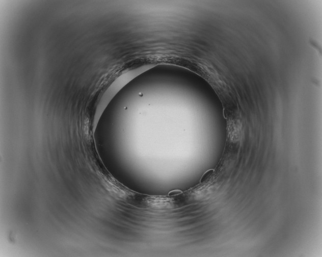 X0000098050670200804071509