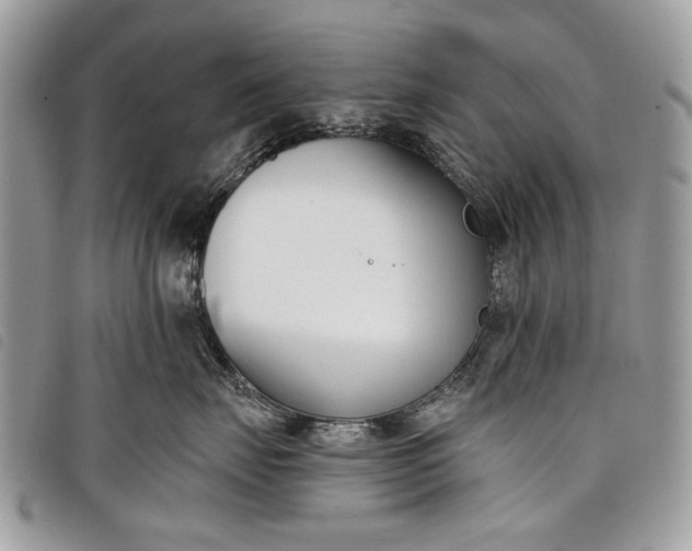 X0000098050671200804071509