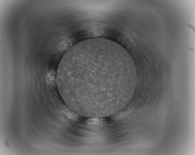 X0000098050672200804071509