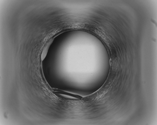 X0000098050673200804071508