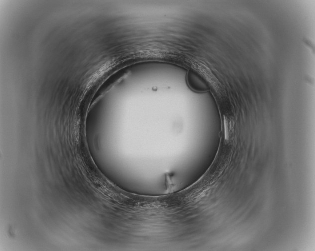 X0000098050675200804071508