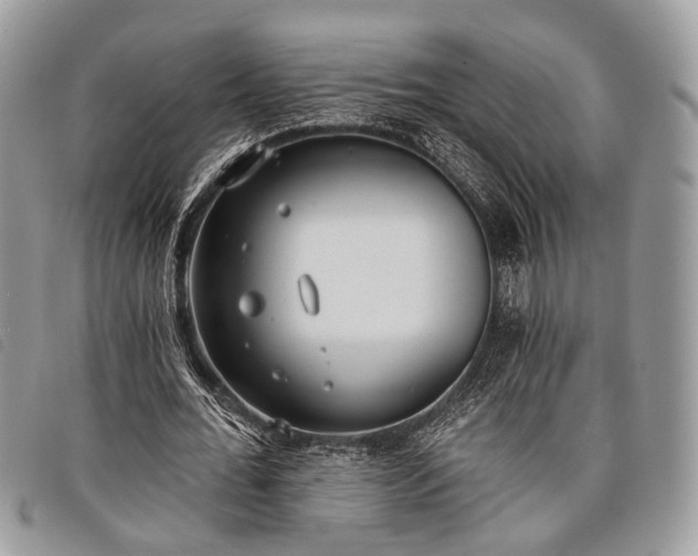 X0000098050676200804071508