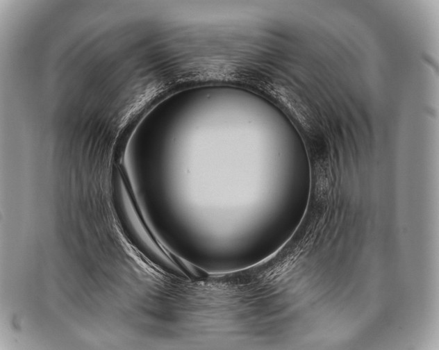 X0000098050677200804071508