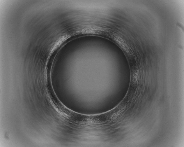 X0000098050678200804071508