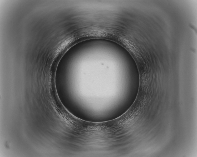 X0000098050679200804071508