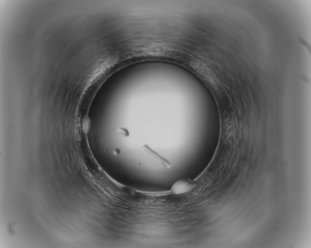 X0000098050680200804071508