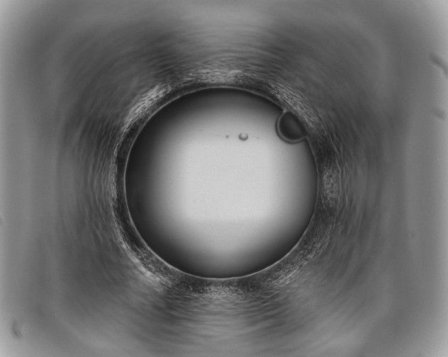 X0000098050682200804071508