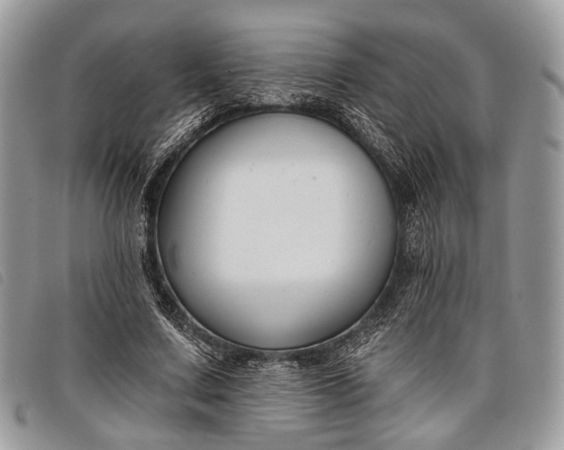 X0000098050683200804071508