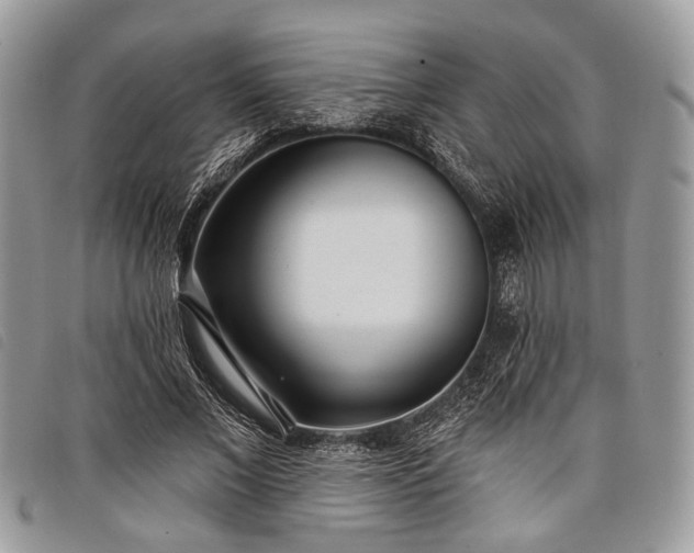 X0000098050685200804071508