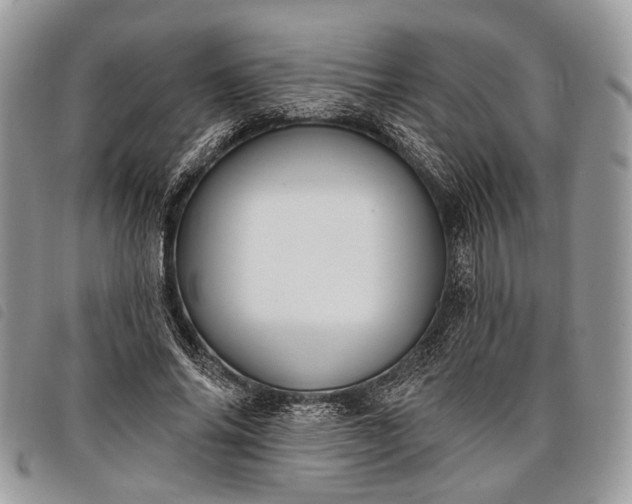 X0000098050686200804071508