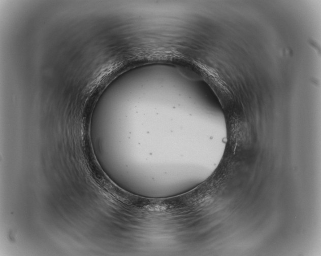 X0000098050687200804071508