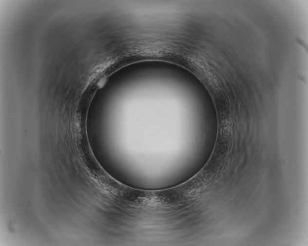 X0000098050688200804071508