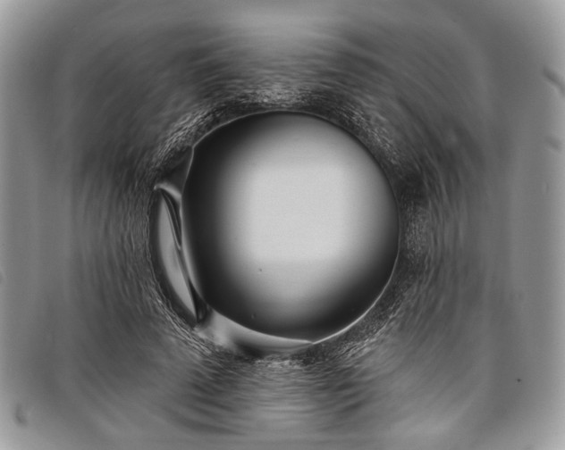 X0000098050689200804071508