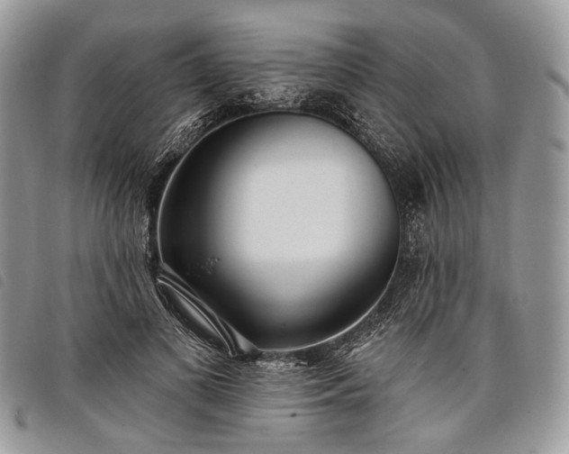 X0000098050693200804071508