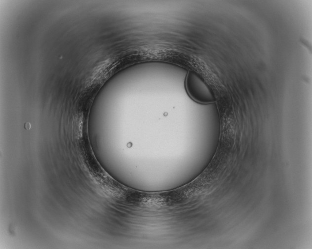 X0000098050694200804071508