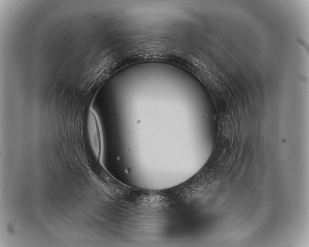 X0000098050695200804071508