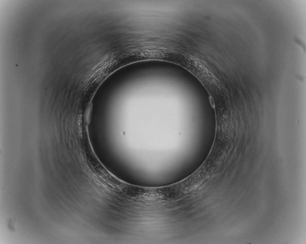 X0000098050696200804071508