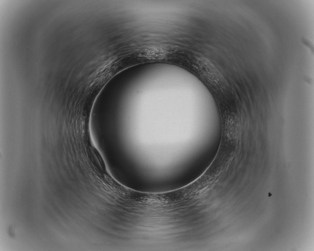 X0000098050697200804071508