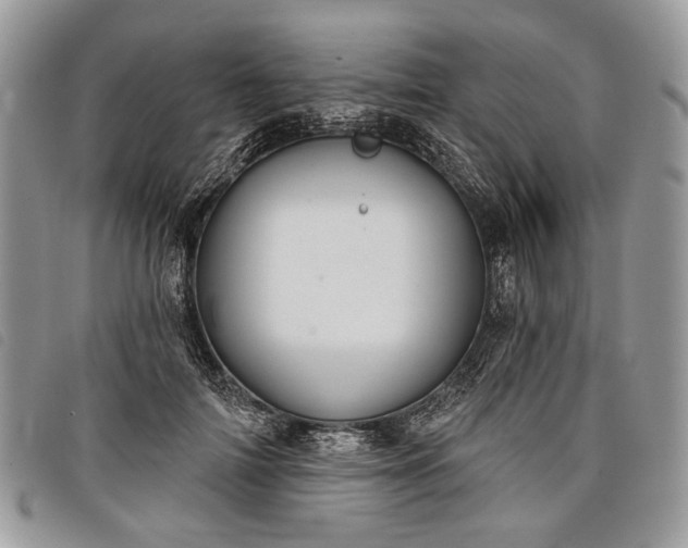 X0000098050698200804071508