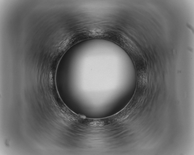 X0000098050700200804071508