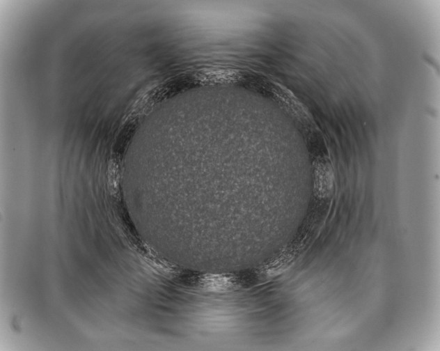 X0000098050701200804071508