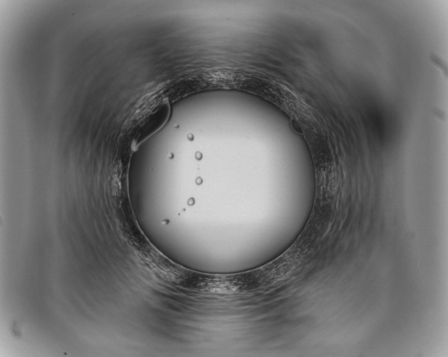 X0000098050702200804071508