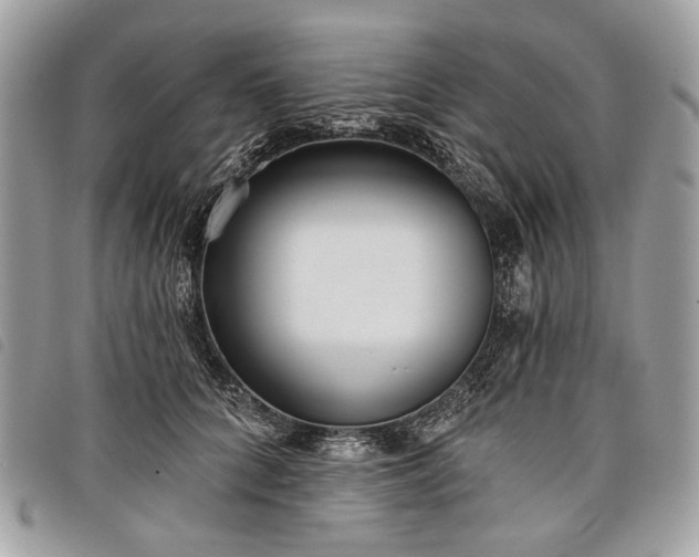 X0000098050704200804071507