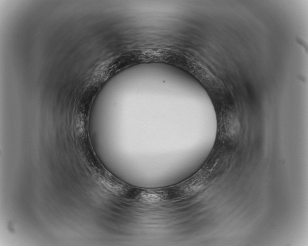 X0000098050706200804071507