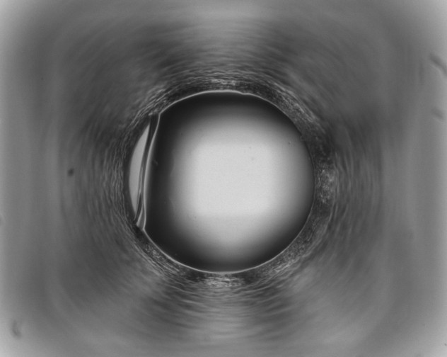 X0000098050707200804071507