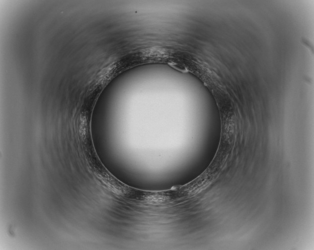 X0000098050708200804071507