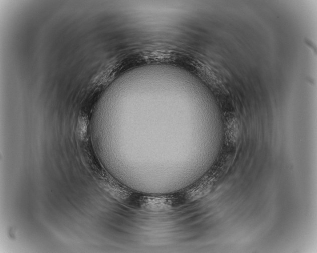 X0000098050709200804071507