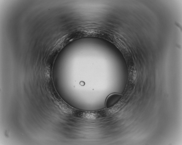 X0000098050710200804071507