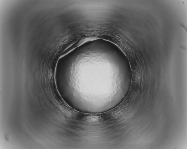 X0000098050711200804071507