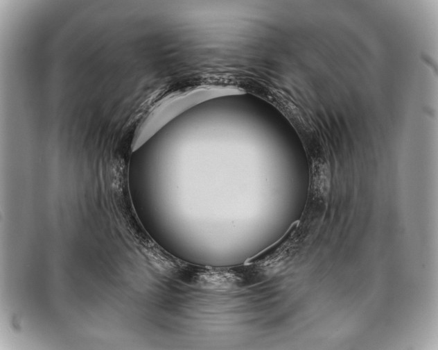 X0000098050712200804071507