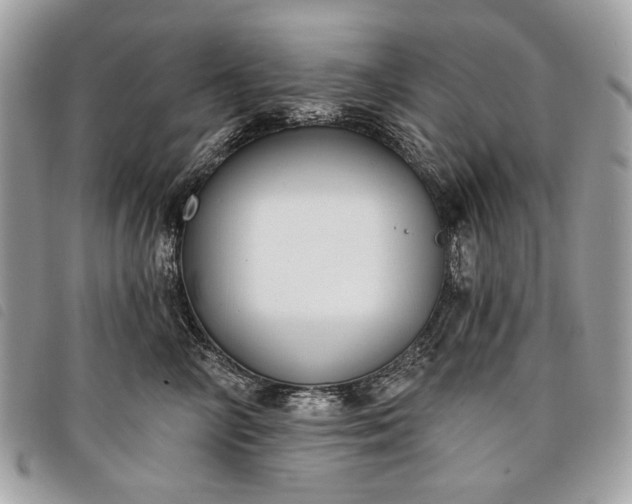 X0000098050714200804071507