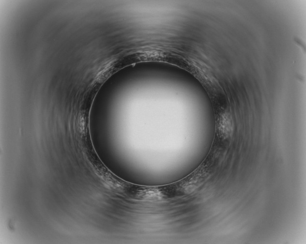 X0000098050715200804071507