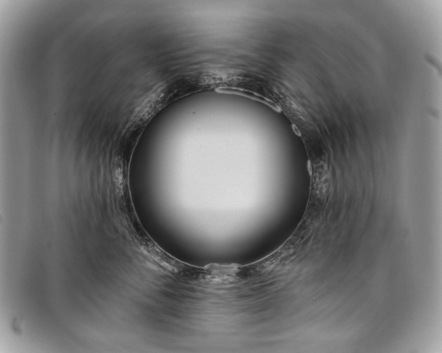 X0000098050716200804071507