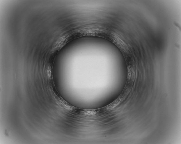 X0000098050718200804071507