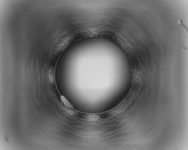 X0000098050719200804071507