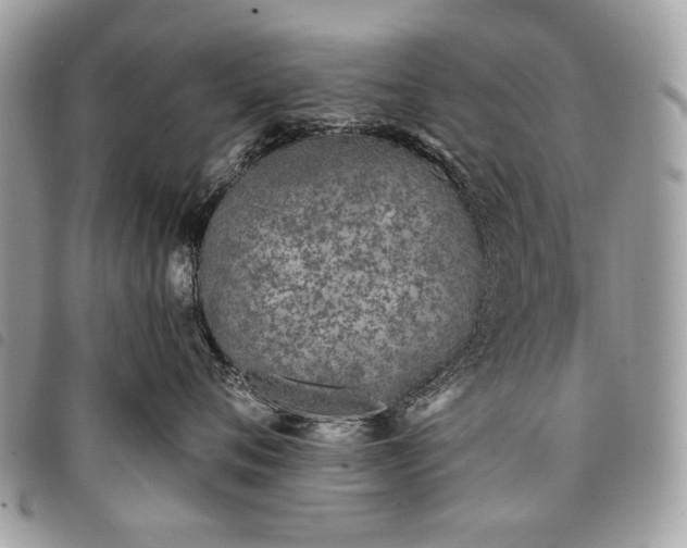 X0000098050720200804071507