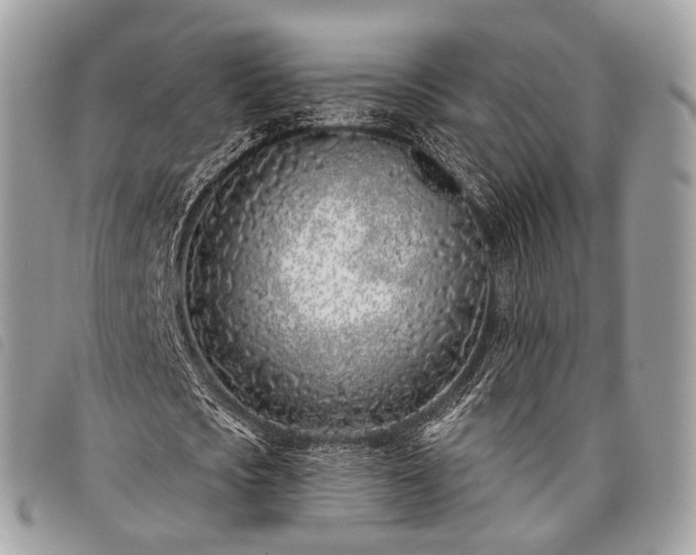 X0000098050721200804071506