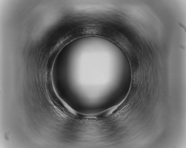 X0000098050722200804071506